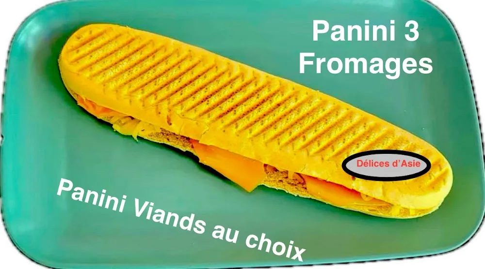 Panini